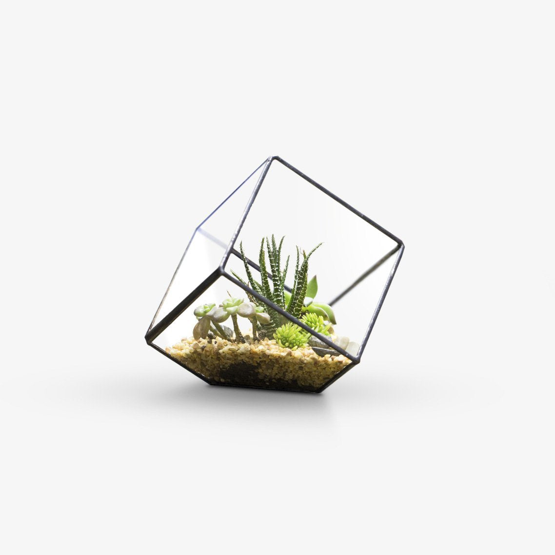 Glass Terrarium - Cube