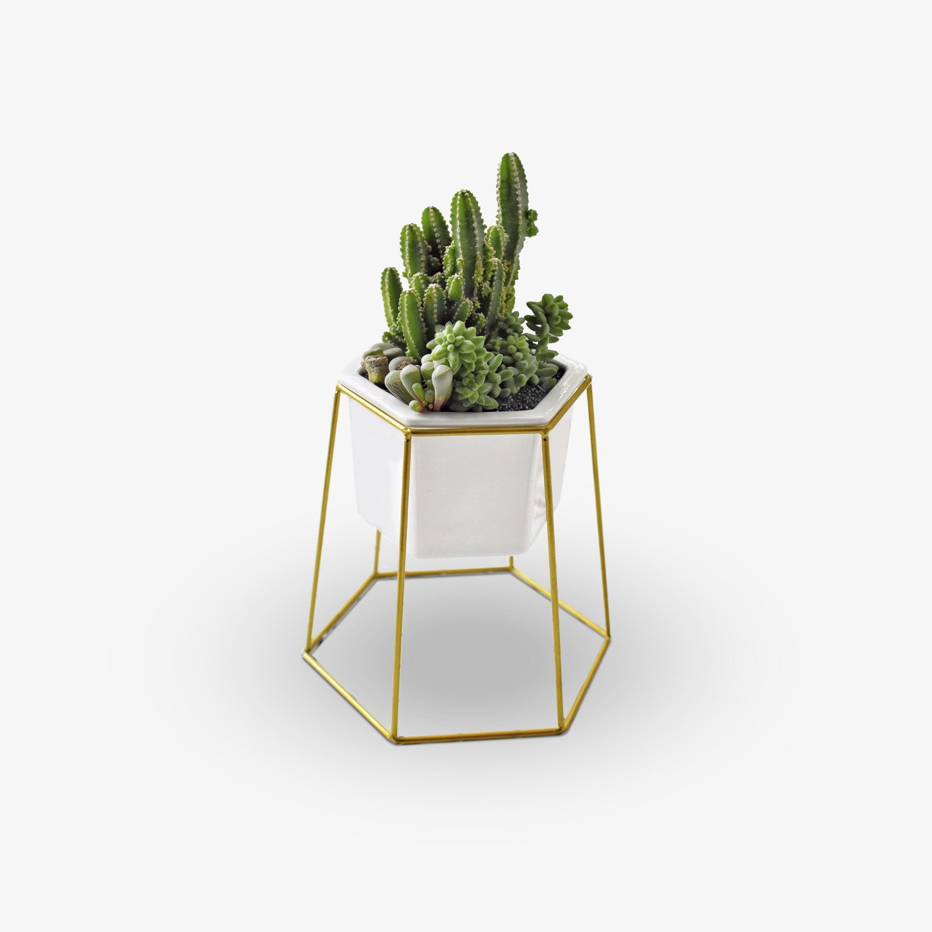 Gold Hexagon Base - Planter