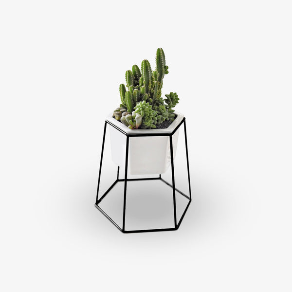 Black Hexagon Base Planter