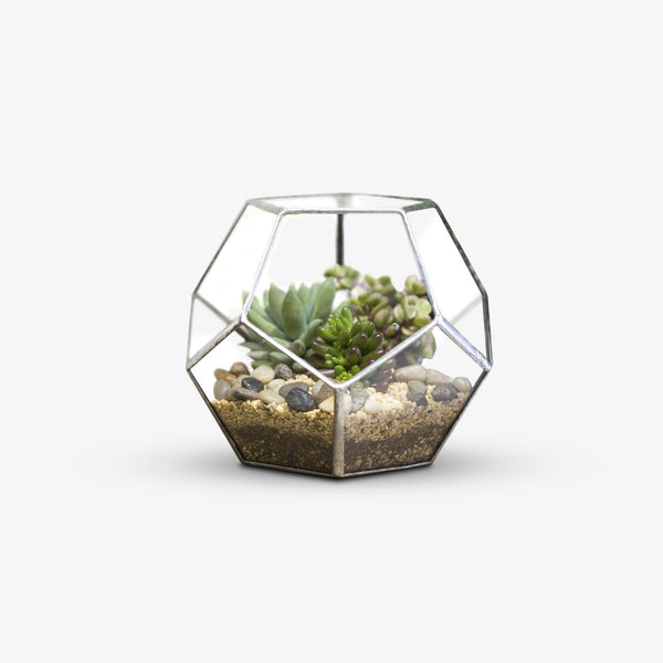 Glass Terrarium - Polygon