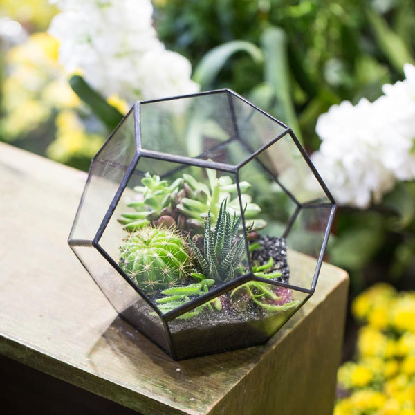 Glass Terrarium - Polygon