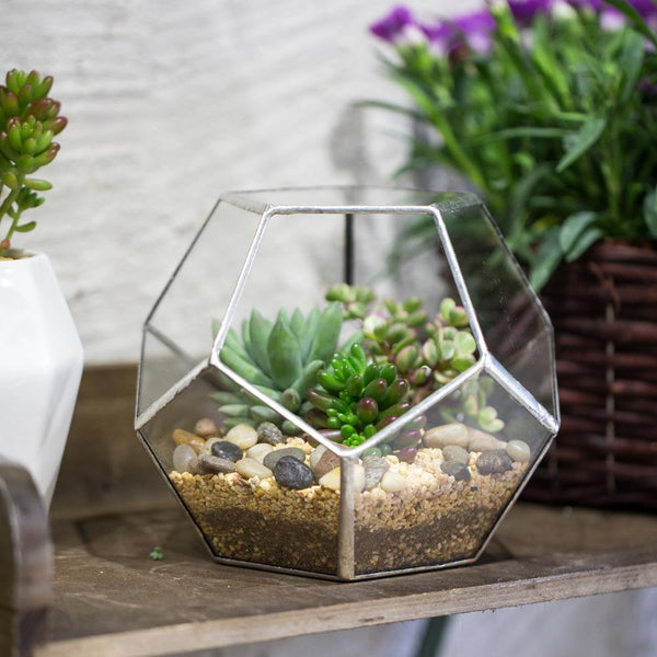 Glass Terrarium - Polygon