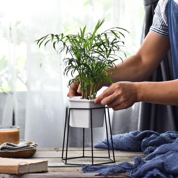 Black Hexagon Base Planter