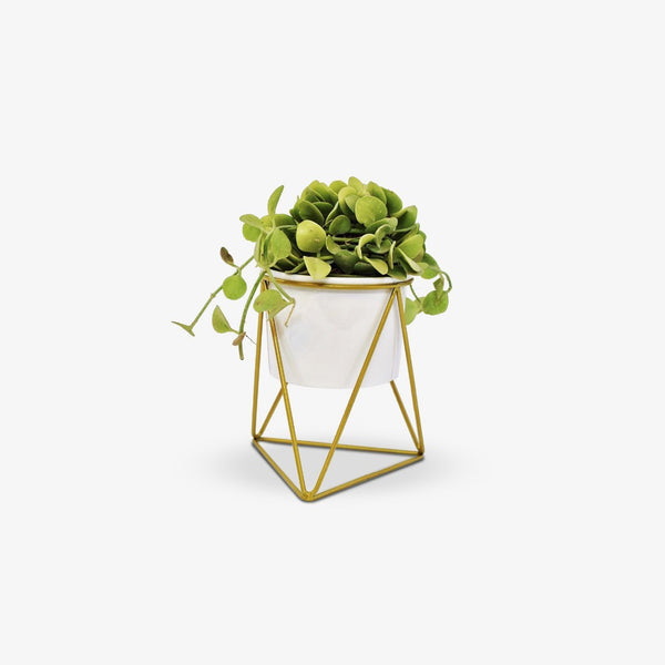 Triangle Base Planter