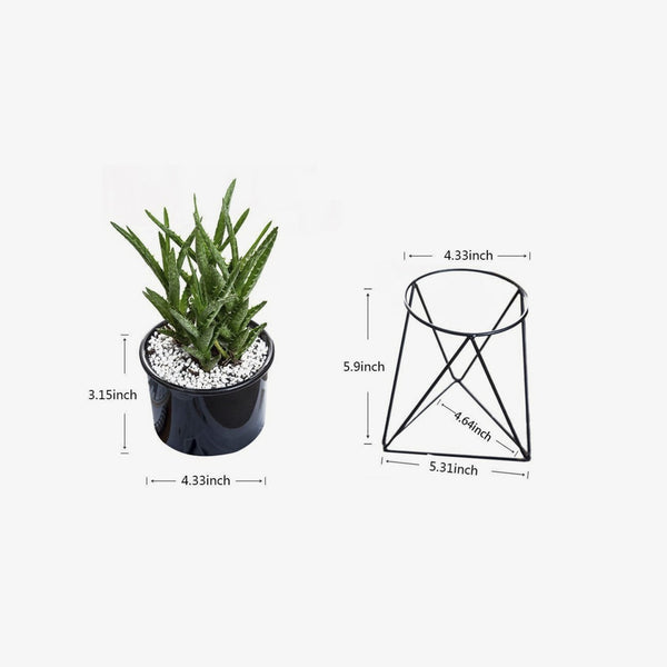 Triangle Base Planter